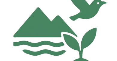 Avatangiisit pinngortitarlu